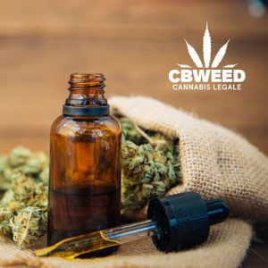 OLIO DI CBD