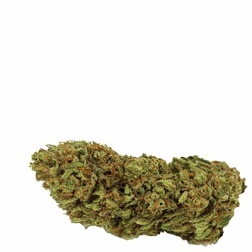 Cannabis light a Reggio Emilia 