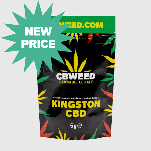 low_CBW-Kingston-5g