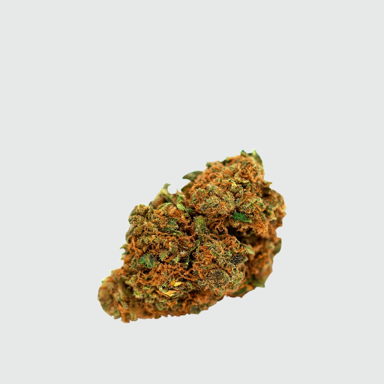 low_CBW-Orange