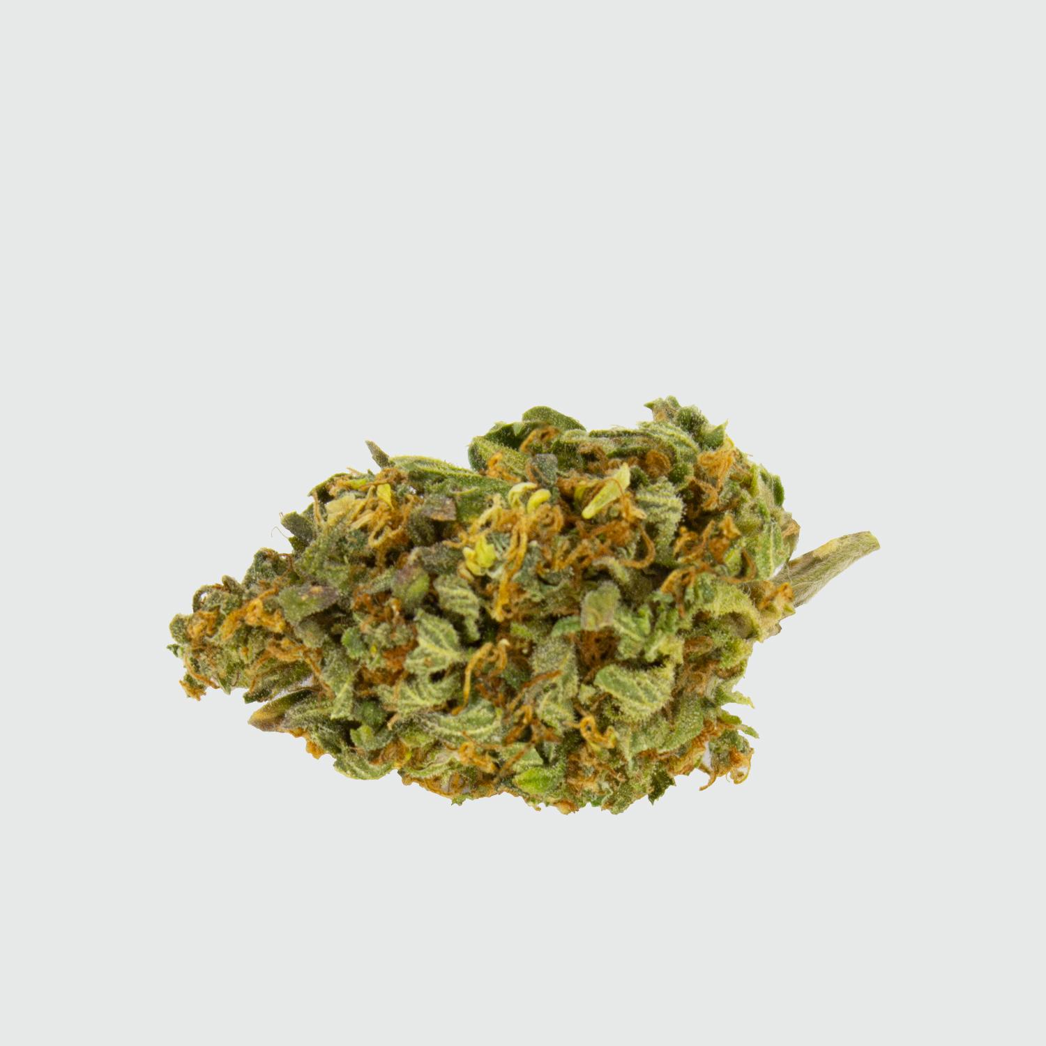 low_Green-House-Collab-Holy-Punch