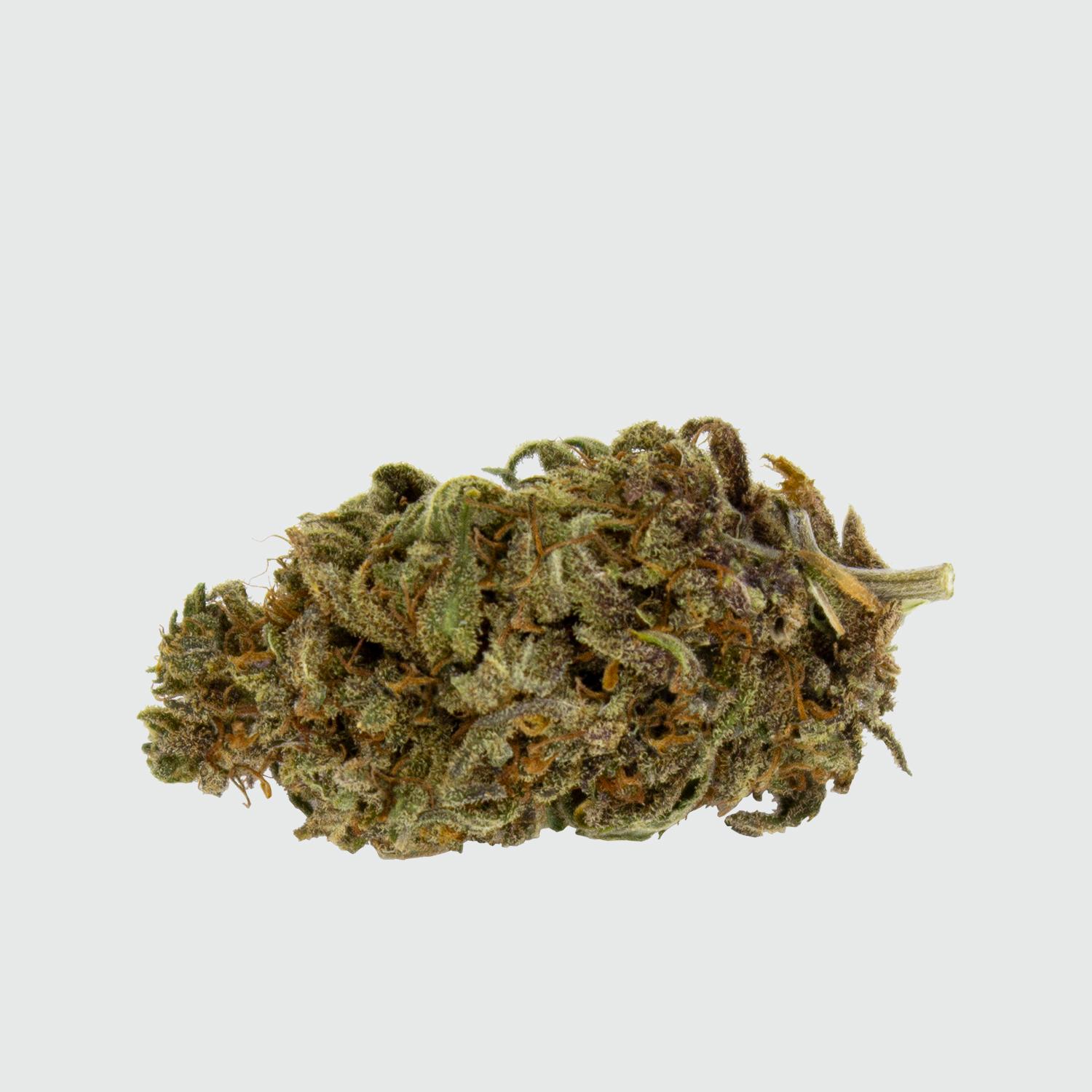 low_Green-House-Collab-Purple-Love