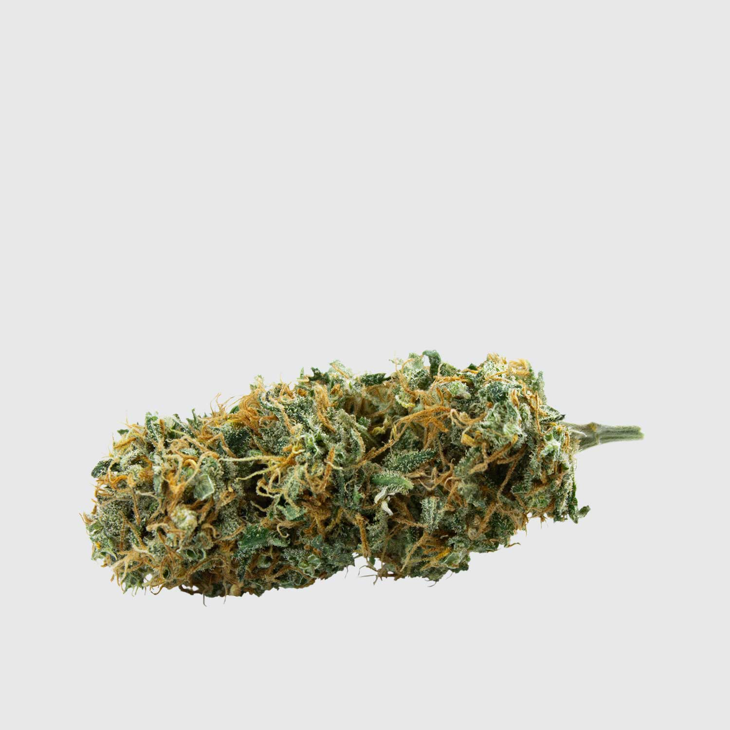 low_Green-House-Collab-super-silver-haze